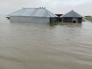 কুড়িগ্রামে বিপৎসীমার ওপরে ব্রহ্মপুত্রের পানি,শতশত মানুষ পানিবন্দী